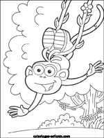 Coloriages de singes