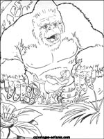 Coloriages de singes