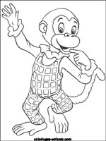 Coloriages de singes