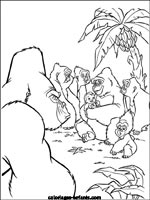 Coloriages de singes