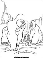 Coloriages de singes