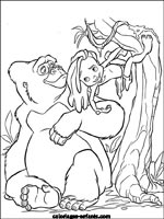 Coloriages de singes