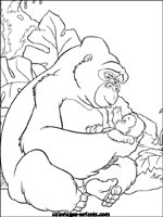 Coloriages de singes