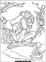 Coloriages de singes