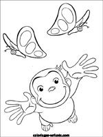 Coloriages de singes