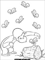 Coloriages de singes