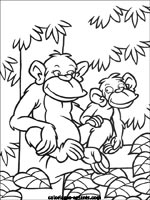 Coloriages de singes