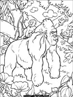 Coloriages de singes