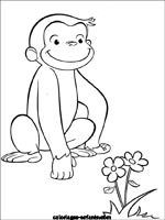 Coloriages de singes