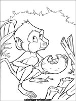 Coloriages de singes