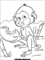 Coloriages de singes