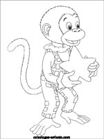 Coloriages de singes