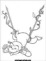 Coloriages de singes