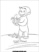 Coloriages de singes