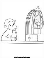 Coloriages de singes