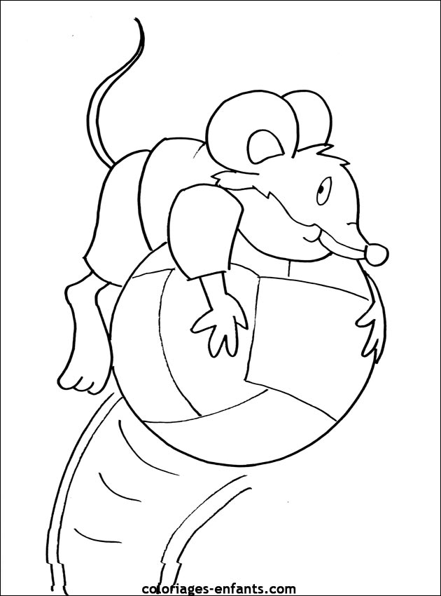 coloriage de souris - dessin d'animaux  colorier