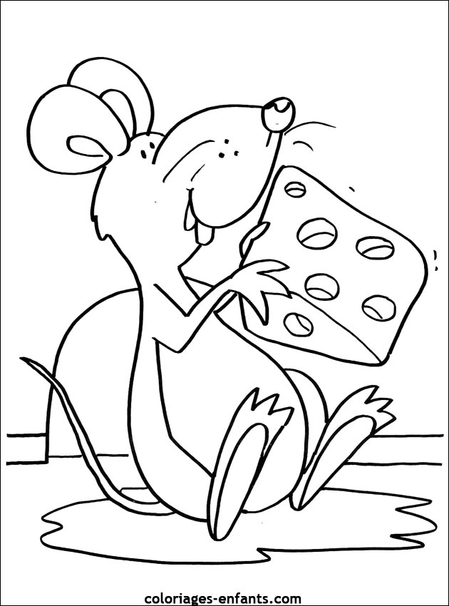 coloriage de souris - dessin d'animaux  colorier