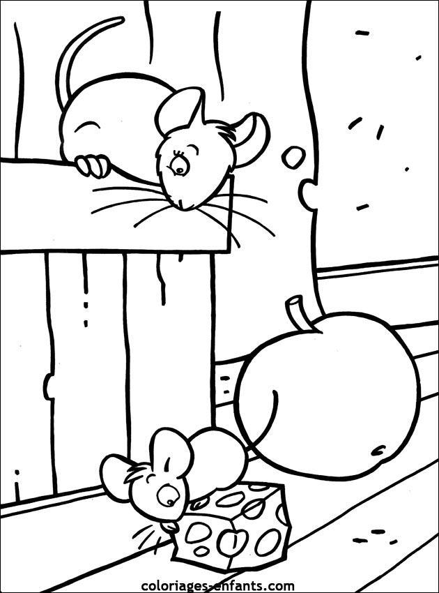 coloriage de souris - dessin d'animaux  colorier