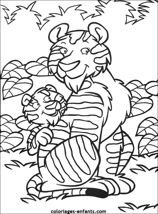 coloriage de tigre - dessins d'animaux  imprimer