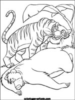 Coloriages de tigres