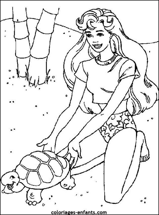 coloriage de tortues - dessins d'animaux  imprimer