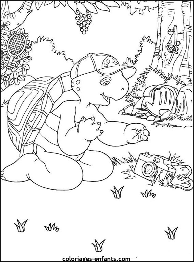 coloriage de tortues - dessins d'animaux  imprimer