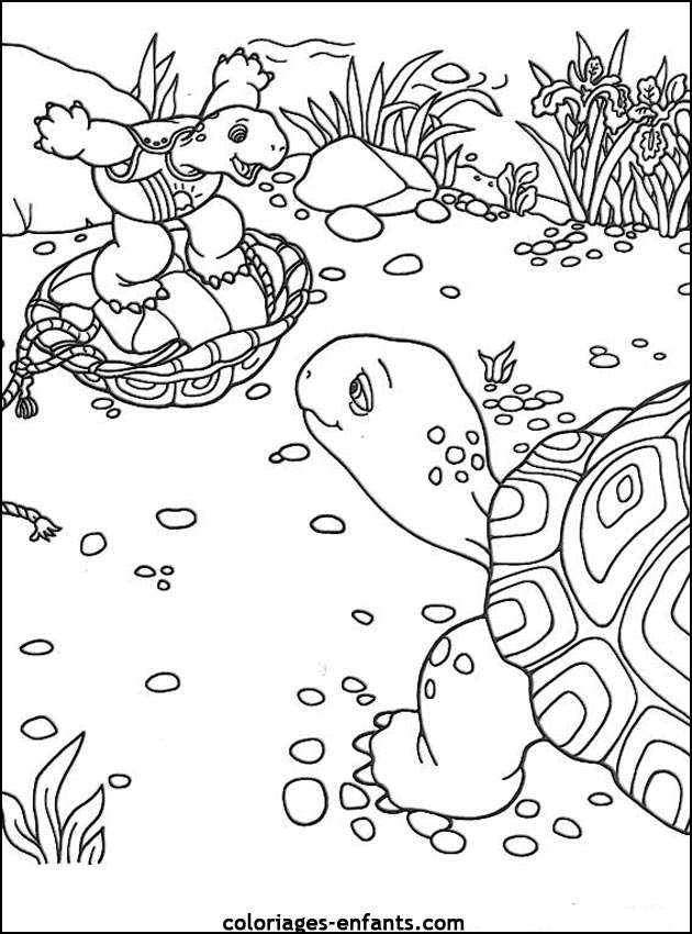 coloriage de tortues - dessins d'animaux  imprimer