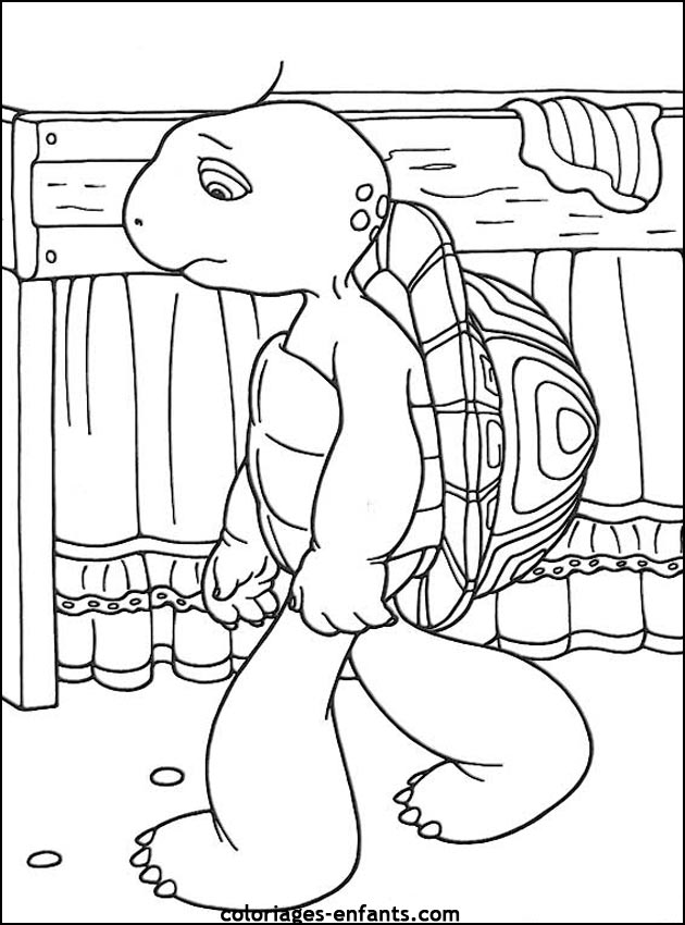 coloriage de tortues - dessins d'animaux  imprimer