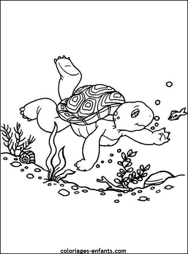 coloriage de tortues - dessins d'animaux  imprimer