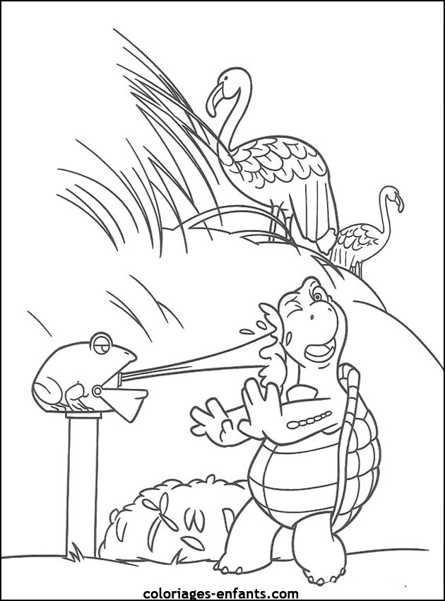 coloriage de tortues - dessins d'animaux  imprimer