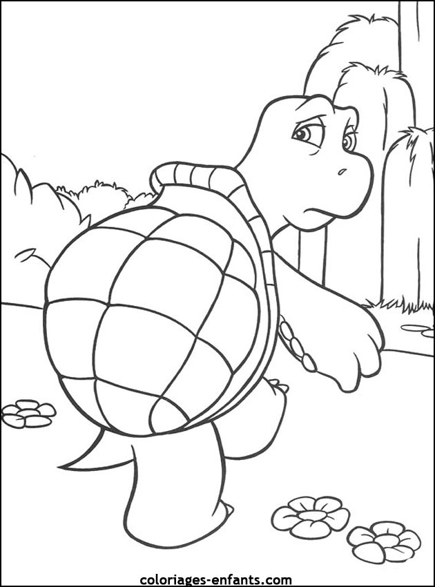 coloriage de tortues - dessins d'animaux  imprimer