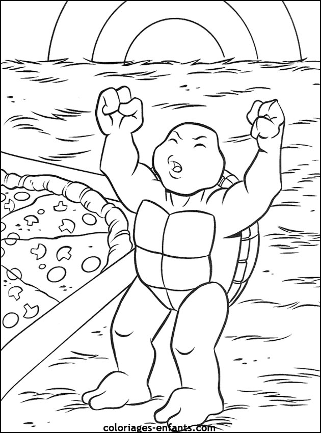 coloriage de tortues - dessins d'animaux  imprimer