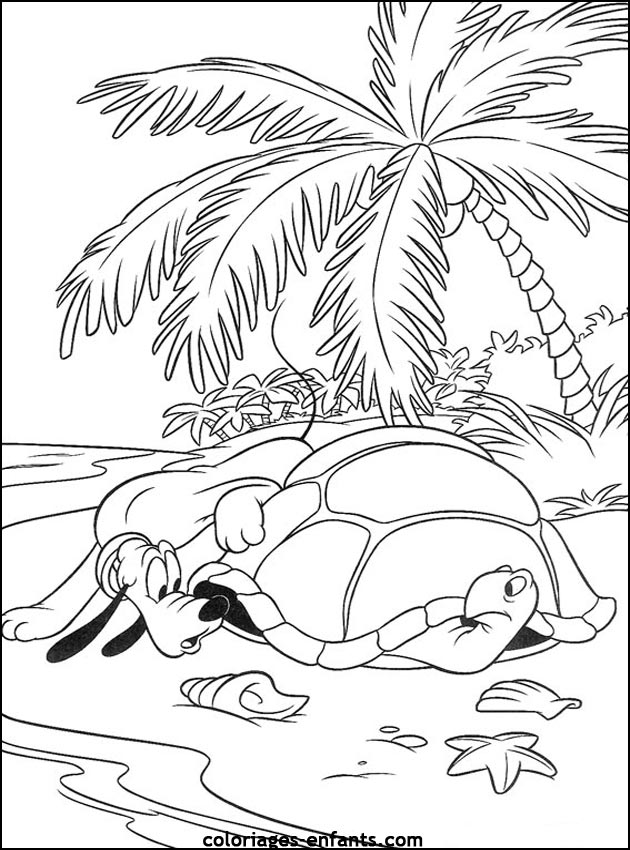 coloriage de tortues - dessins d'animaux  imprimer