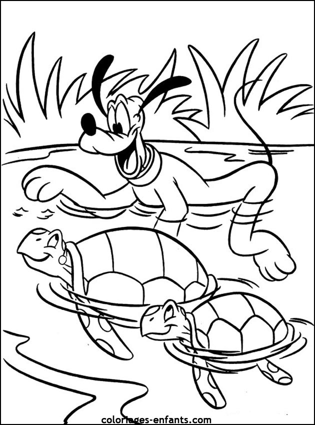 coloriage de tortues - dessins d'animaux  imprimer