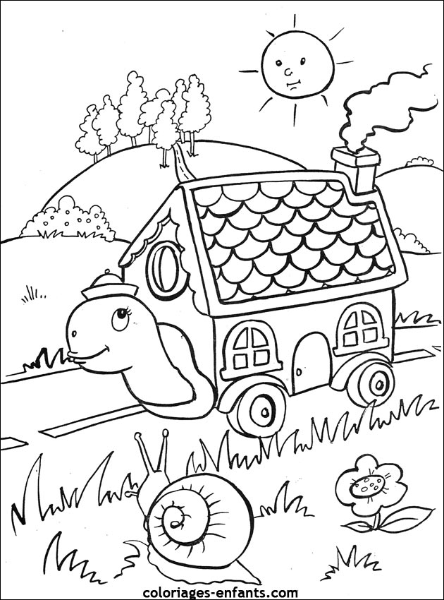 coloriage de tortues - dessins d'animaux  imprimer