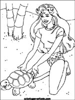 Coloriages de tortues