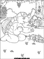 Coloriages de tortues