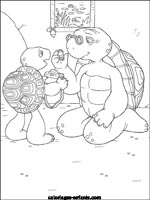 Coloriages de tortues