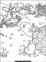 Coloriages de tortues