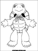 Coloriages de tortues