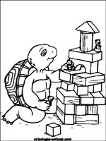 Coloriages de tortues