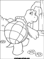 Coloriages de tortues