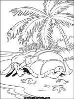 Coloriages de tortues