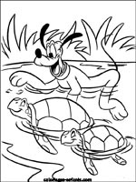 Coloriages de tortues