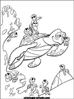 Coloriages de tortues