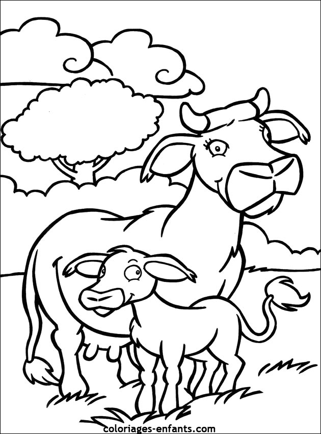 coloriage de vache - dessins d'animaux  imprimer pour enfant