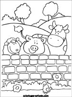 Coloriages de vaches