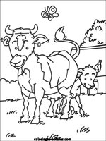 Coloriages de vaches