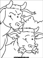 Coloriages de vaches