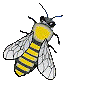 images animées d'abeilles